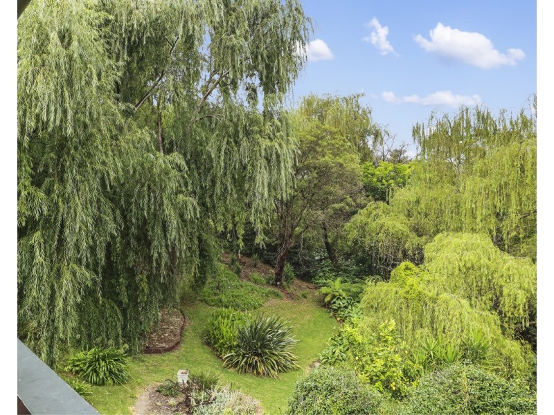 8 Bellbird Court, Wolumla NSW 2550