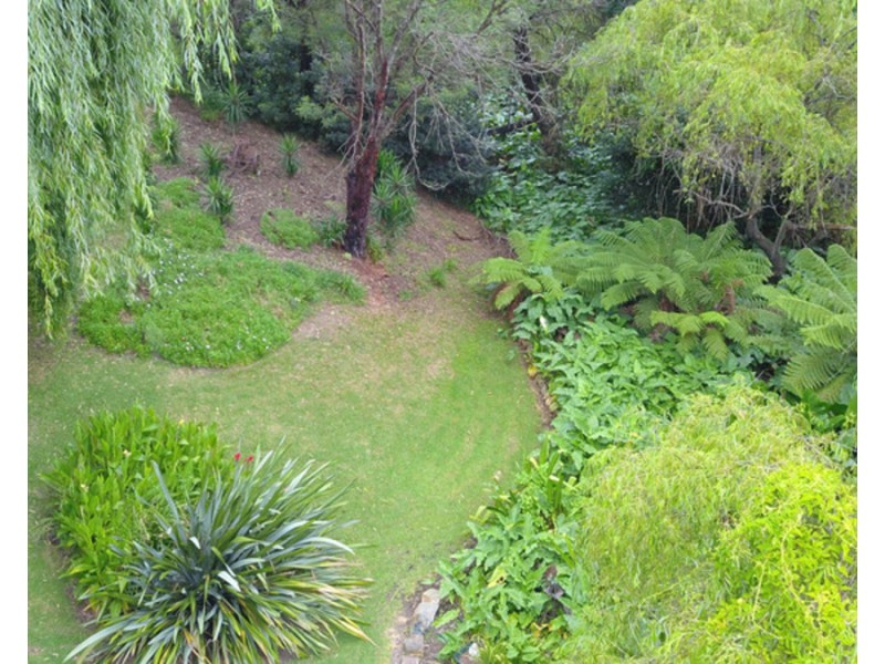 8 Bellbird Court, Wolumla NSW 2550