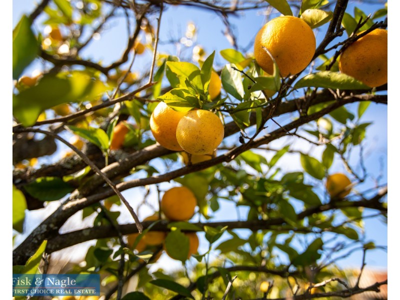 98 Rawlinson Street, Bega NSW 2550