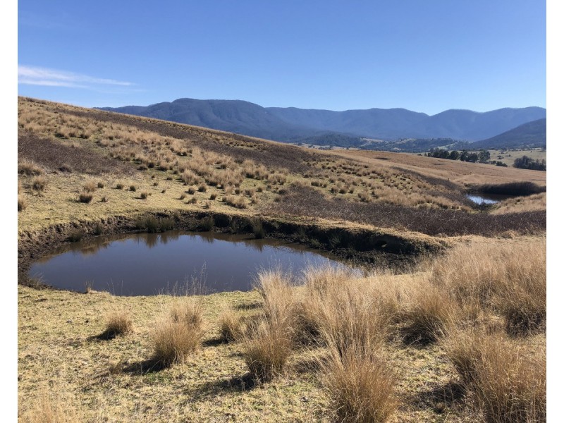 68 Barretts Road, Bemboka NSW 2550