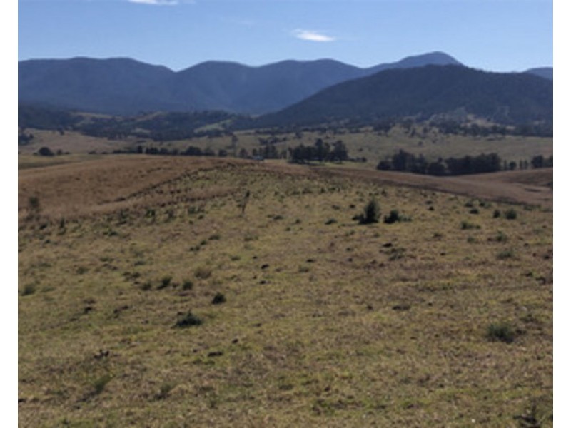 68 Barretts Road, Bemboka NSW 2550