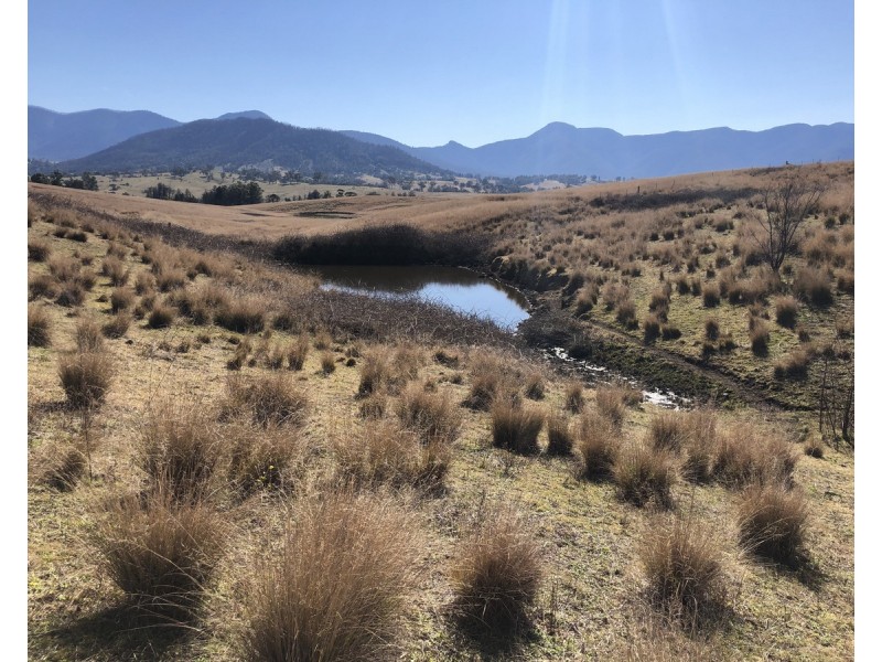 68 Barretts Road, Bemboka NSW 2550