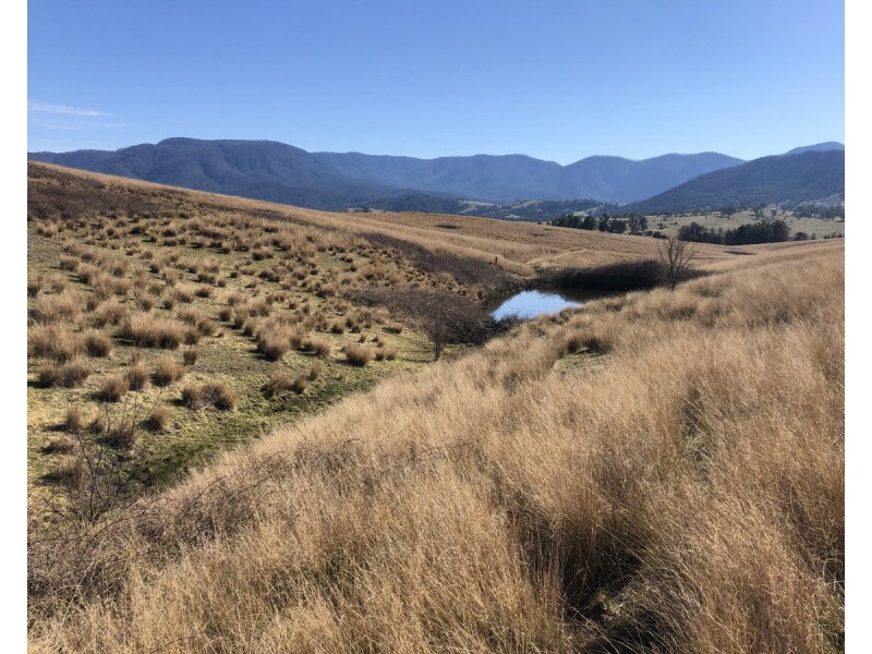 68 Barretts Road, Bemboka NSW 2550