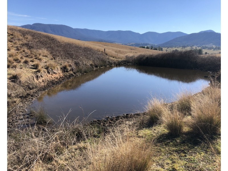 68 Barretts Road, Bemboka NSW 2550