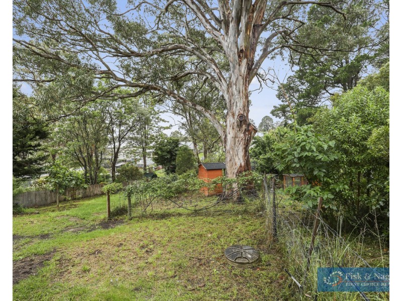 29 Philip Street, Wolumla NSW 2550