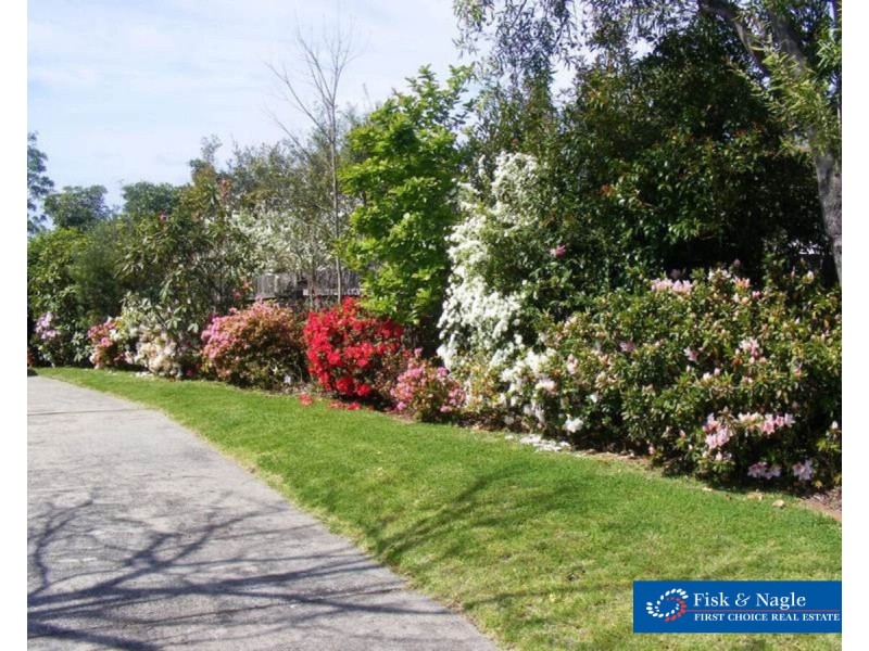 152 Newtown Road, Bega NSW 2550