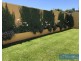 62 Murrays Flat Road, Tarraganda NSW 2550