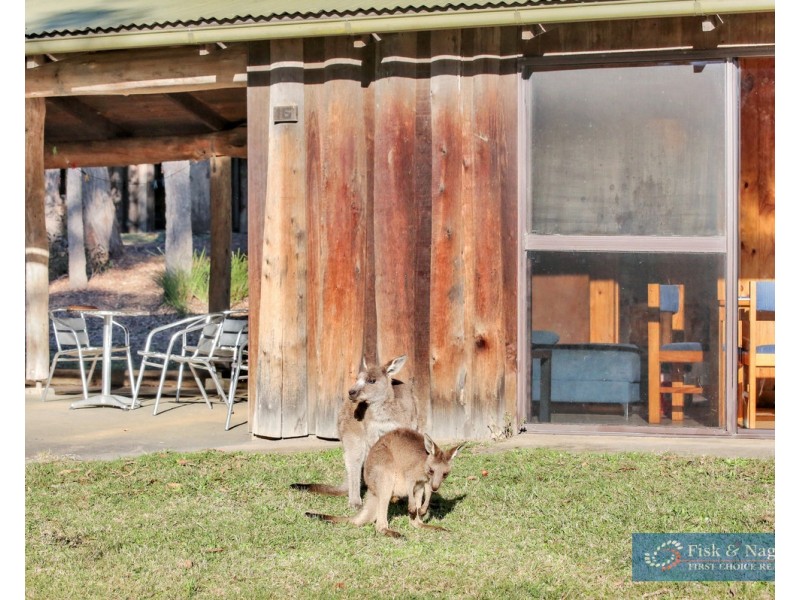 Lot 9/111 Widgeram Road, Bournda NSW 2550
