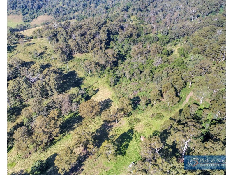 196 Sth Wolumla Road, South Wolumla NSW 2550