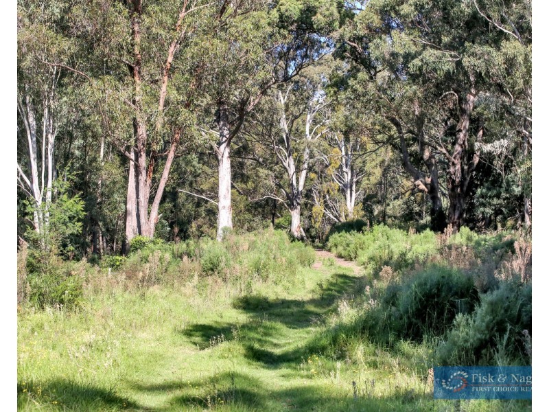 196 Sth Wolumla Road, South Wolumla NSW 2550