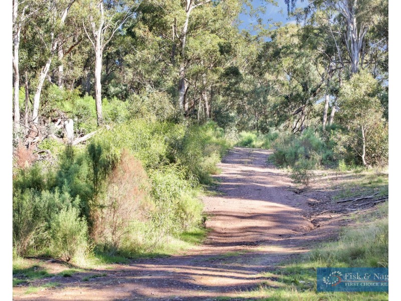 196 Sth Wolumla Road, South Wolumla NSW 2550
