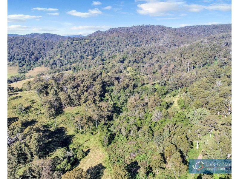 196 Sth Wolumla Road, South Wolumla NSW 2550