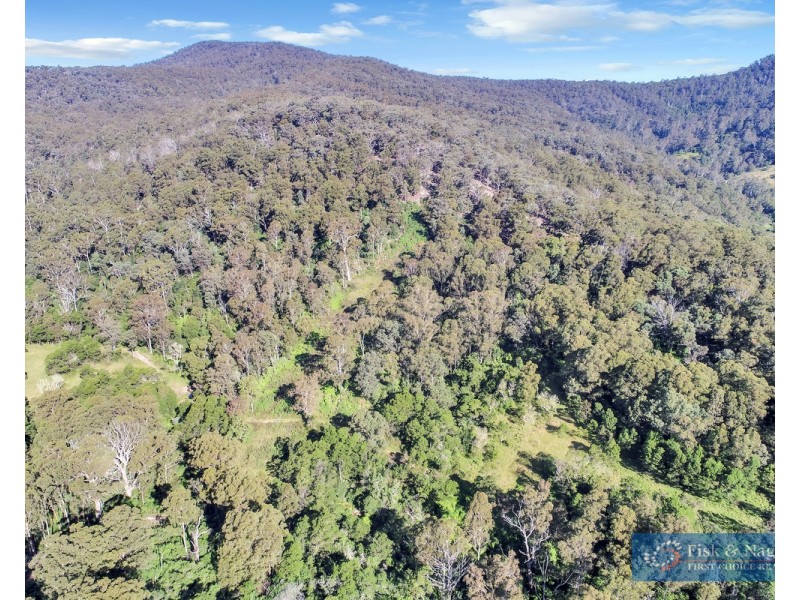 196 Sth Wolumla Road, South Wolumla NSW 2550