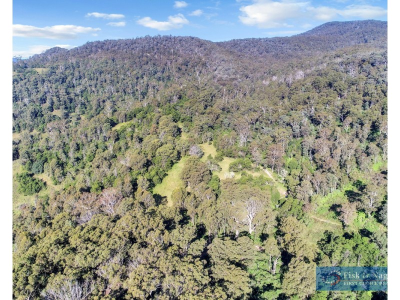 196 Sth Wolumla Road, South Wolumla NSW 2550