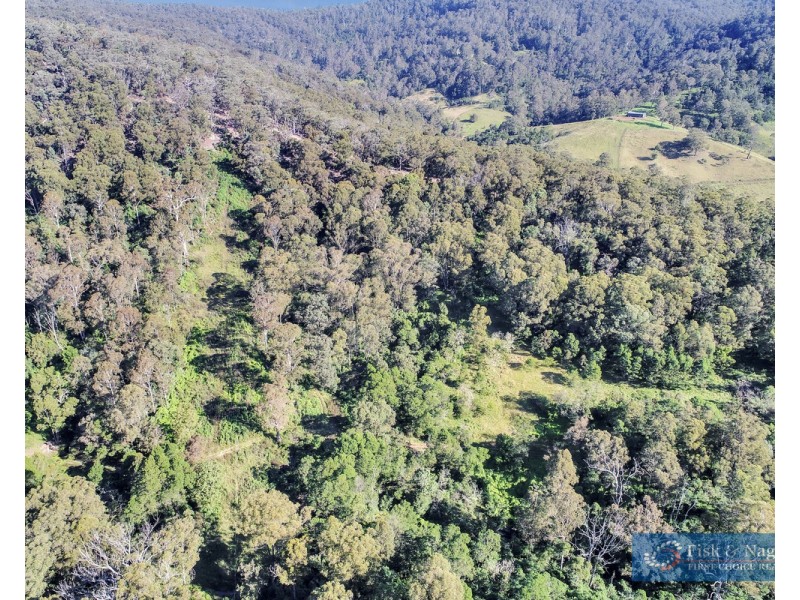 196 Sth Wolumla Road, South Wolumla NSW 2550