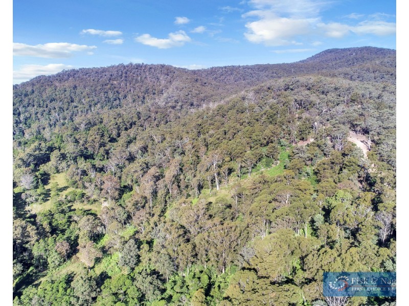 196 Sth Wolumla Road, South Wolumla NSW 2550