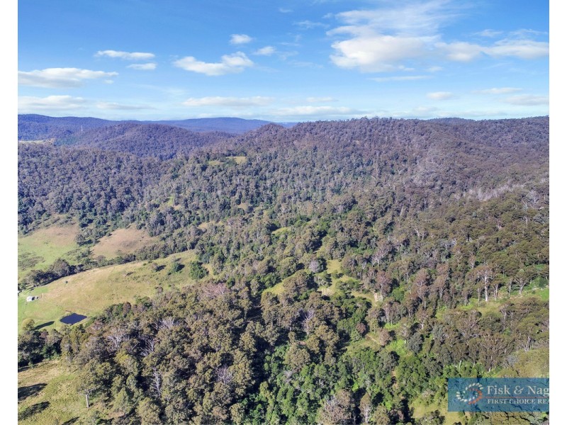 196 Sth Wolumla Road, South Wolumla NSW 2550