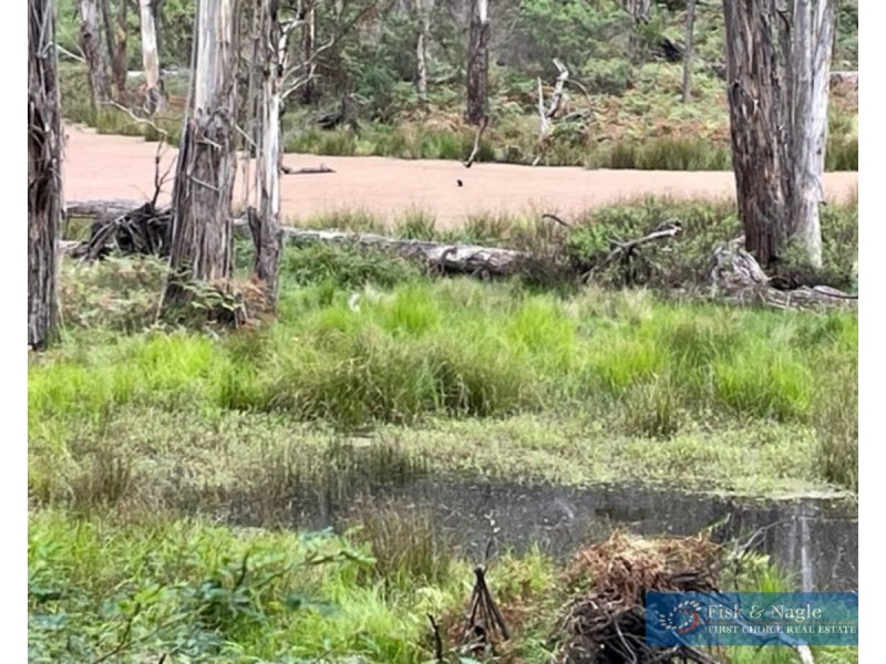 Big Jack Mountain Road, Cathcart NSW 2632