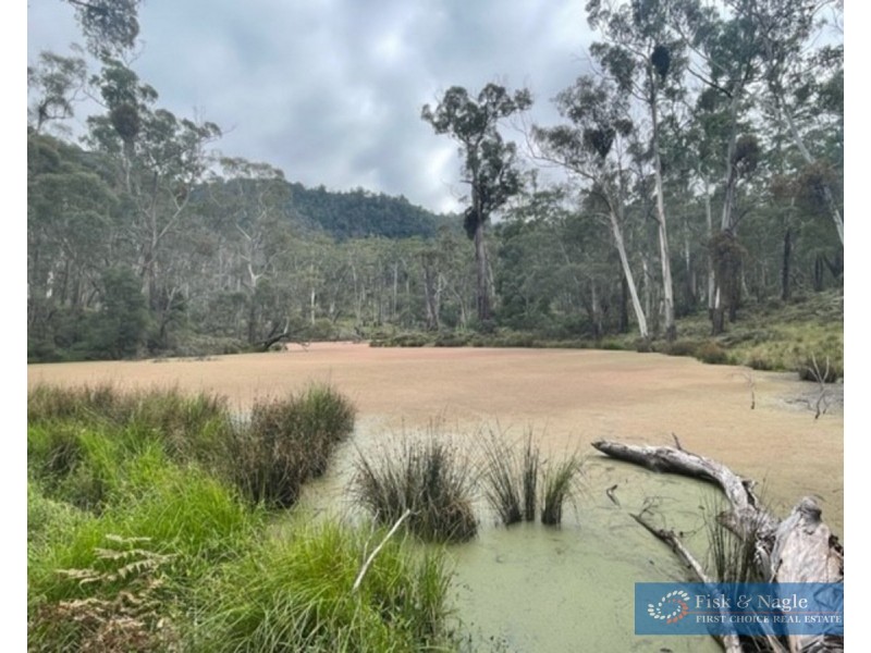 Big Jack Mountain Road, Cathcart NSW 2632