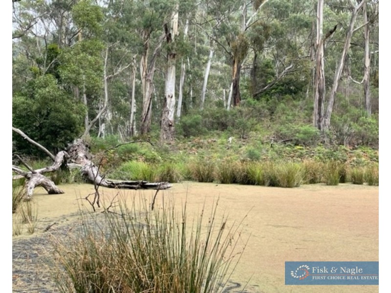 Big Jack Mountain Road, Cathcart NSW 2632