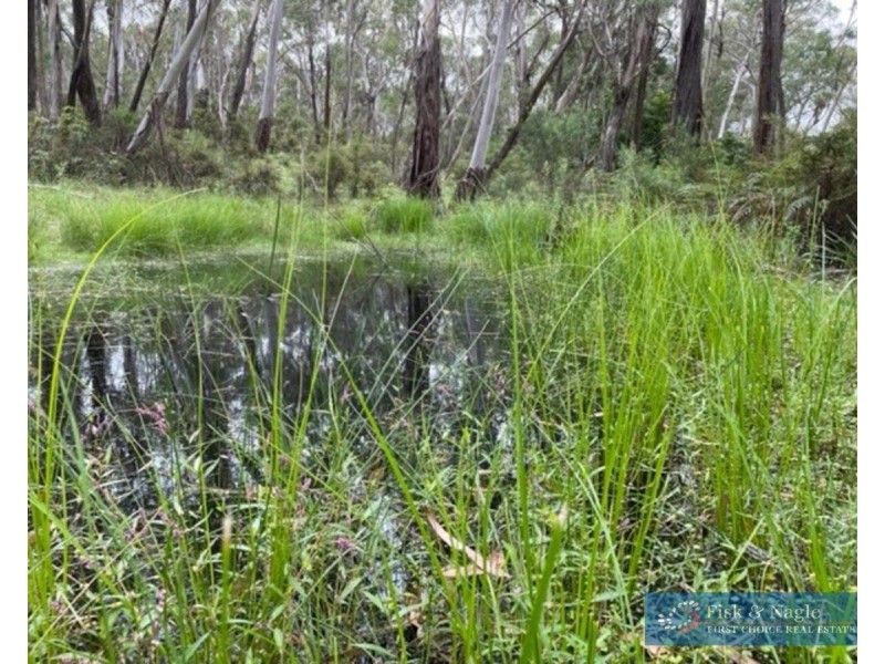 Big Jack Mountain Road, Cathcart NSW 2632