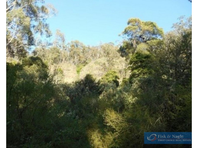 Big Jack Mountain Road, Cathcart NSW 2632
