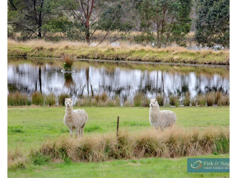 452 Wyndham Lane, Kanoona NSW 2550