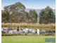 452 Wyndham Lane, Kanoona NSW 2550