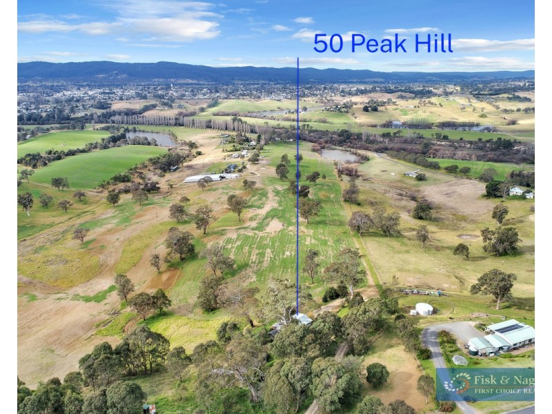50 Peak Hill Road, Buckajo NSW 2550