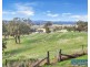 50 Peak Hill Road, Buckajo NSW 2550