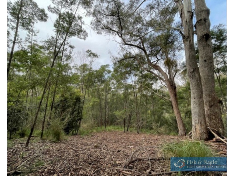 Lot 85, 305 Big Jack Mountain Road, Burragate NSW 2550
