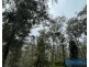Lot 85, 305 Big Jack Mountain Road, Burragate NSW 2550