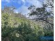Lot 85, 305 Big Jack Mountain Road, Burragate NSW 2550