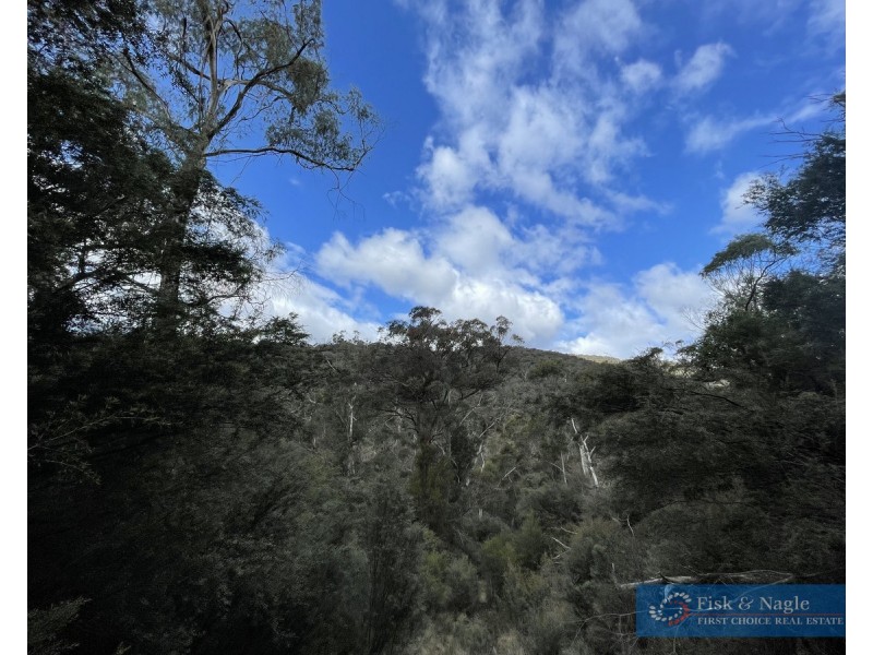 Lot 85, 305 Big Jack Mountain Road, Burragate NSW 2550