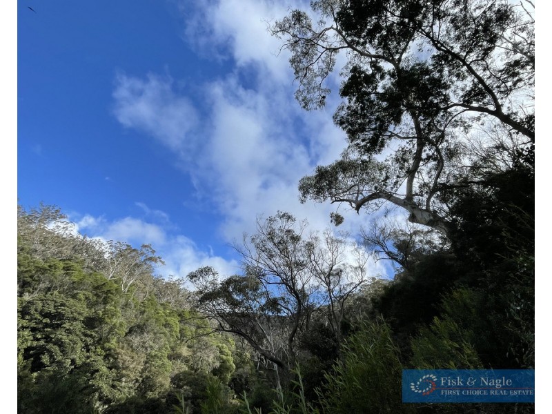 Lot 85, 305 Big Jack Mountain Road, Burragate NSW 2550