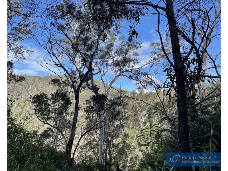 Lot 85, 305 Big Jack Mountain Road, Burragate NSW 2550