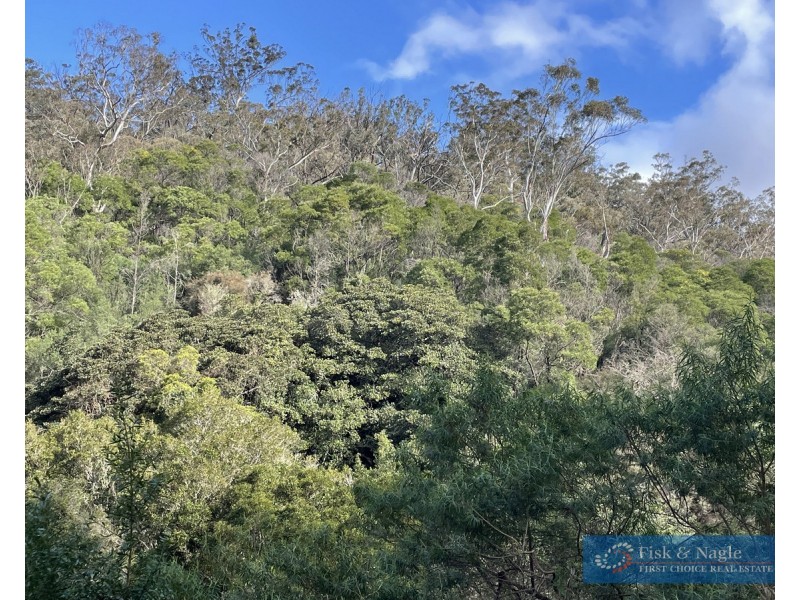 Lot 85, 305 Big Jack Mountain Road, Burragate NSW 2550