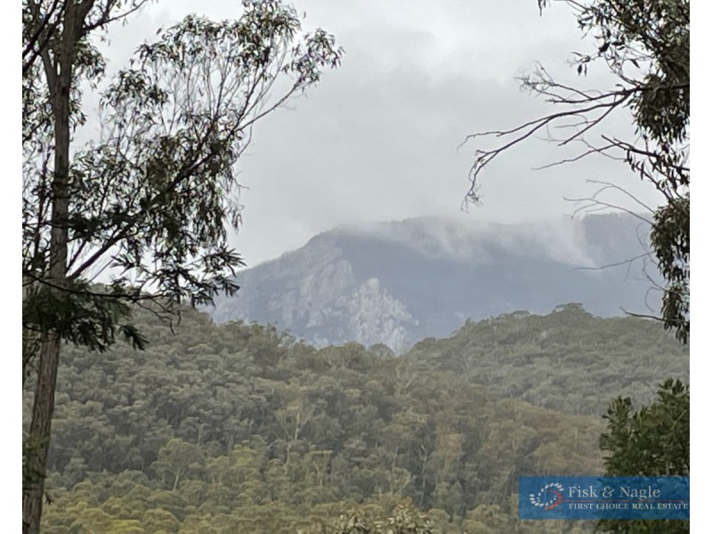 Lot 62 & 63, 305 Big Jack Mountain Road, Burragate NSW 2550