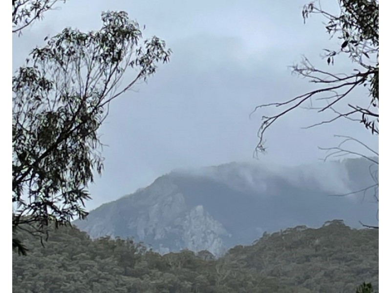 Lot 62 & 63, 305 Big Jack Mountain Road, Burragate NSW 2550