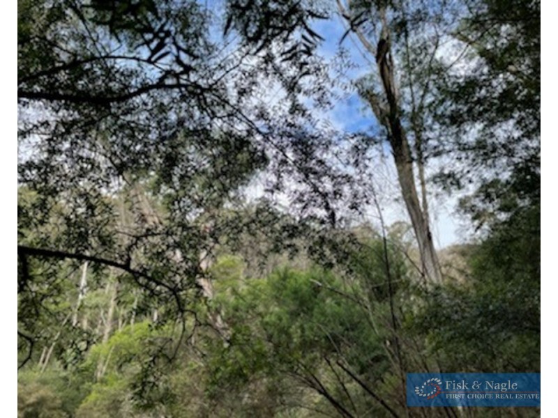 Lot 62 & 63, 305 Big Jack Mountain Road, Burragate NSW 2550