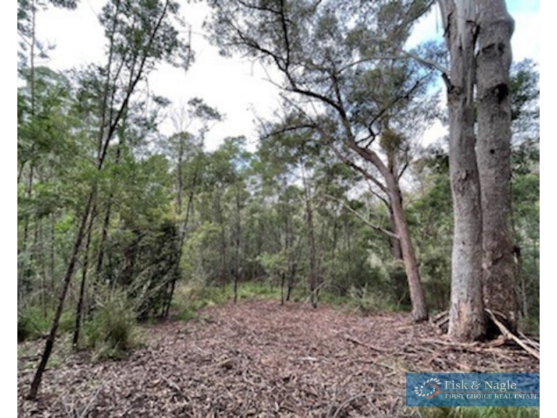 Lot 62 & 63, 305 Big Jack Mountain Road, Burragate NSW 2550