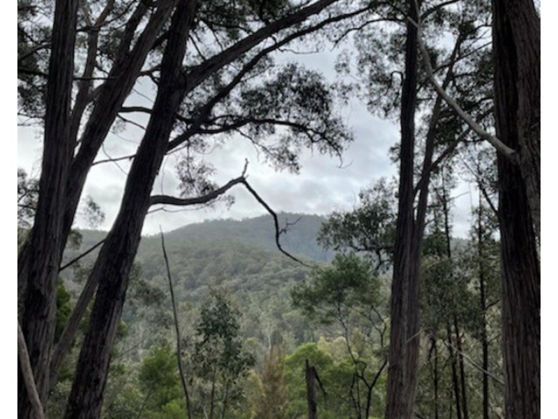 Lot 62 & 63, 305 Big Jack Mountain Road, Burragate NSW 2550