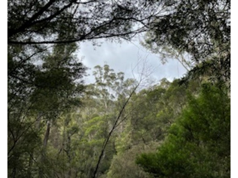 Lot 62 & 63, 305 Big Jack Mountain Road, Burragate NSW 2550