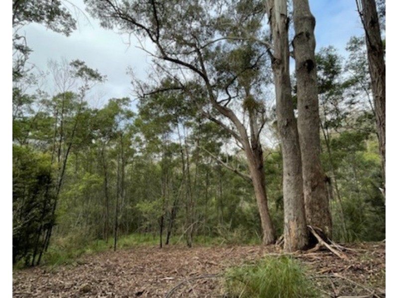 Lot 62 & 63, 305 Big Jack Mountain Road, Burragate NSW 2550