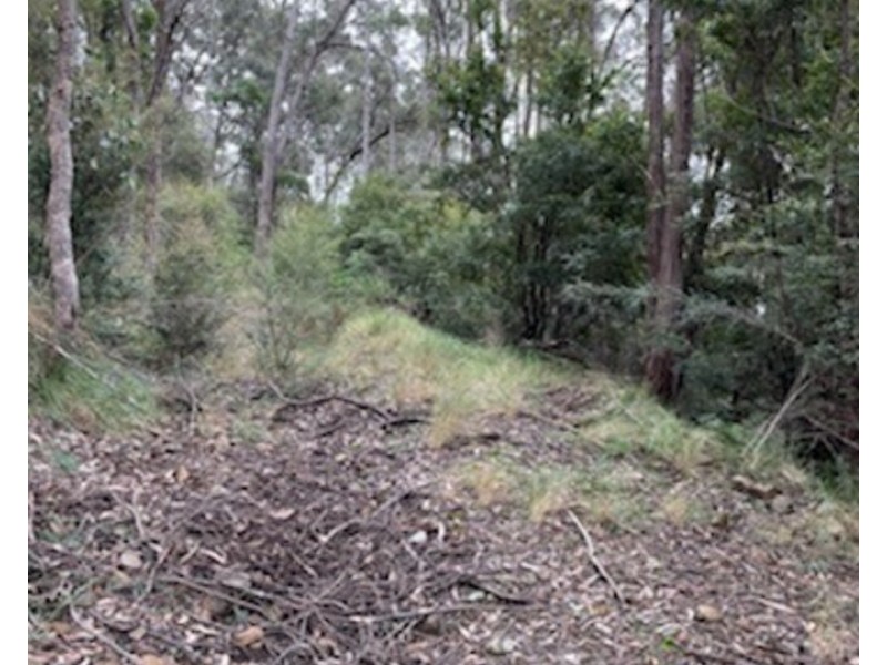 Lot 62 & 63, 305 Big Jack Mountain Road, Burragate NSW 2550