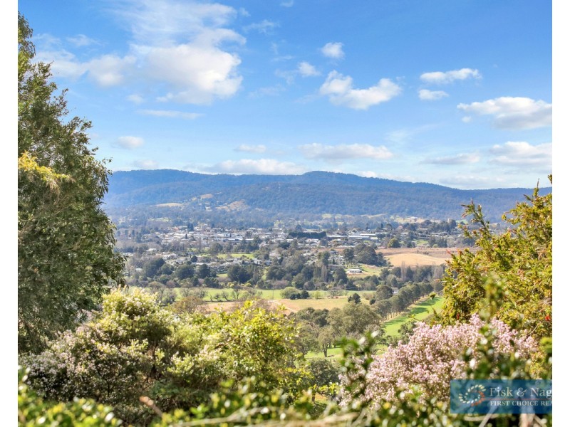 104 Peak Hill Road, Buckajo NSW 2550