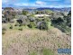 104 Peak Hill Road, Buckajo NSW 2550