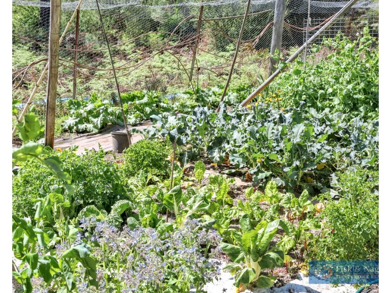 1865 Big Jack Mountain Road, Rocky Hall NSW 2550