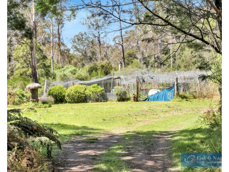 1865 Big Jack Mountain Road, Rocky Hall NSW 2550