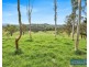 104 Hawks Head Road, Brogo NSW 2550